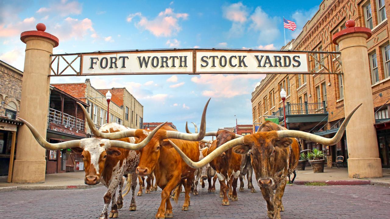 1 HERO Herd Stockyards Sign HDR Web72DPI