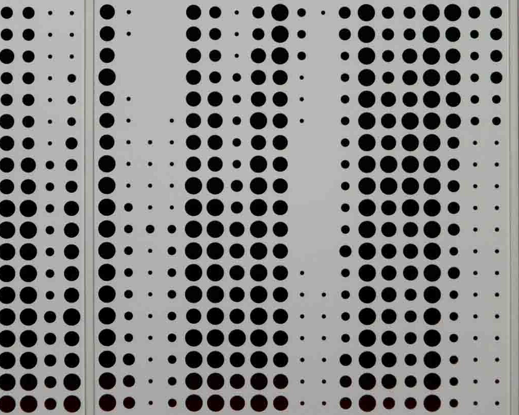 construction and development plescia 13