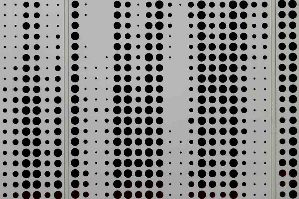 construction and development plescia 13