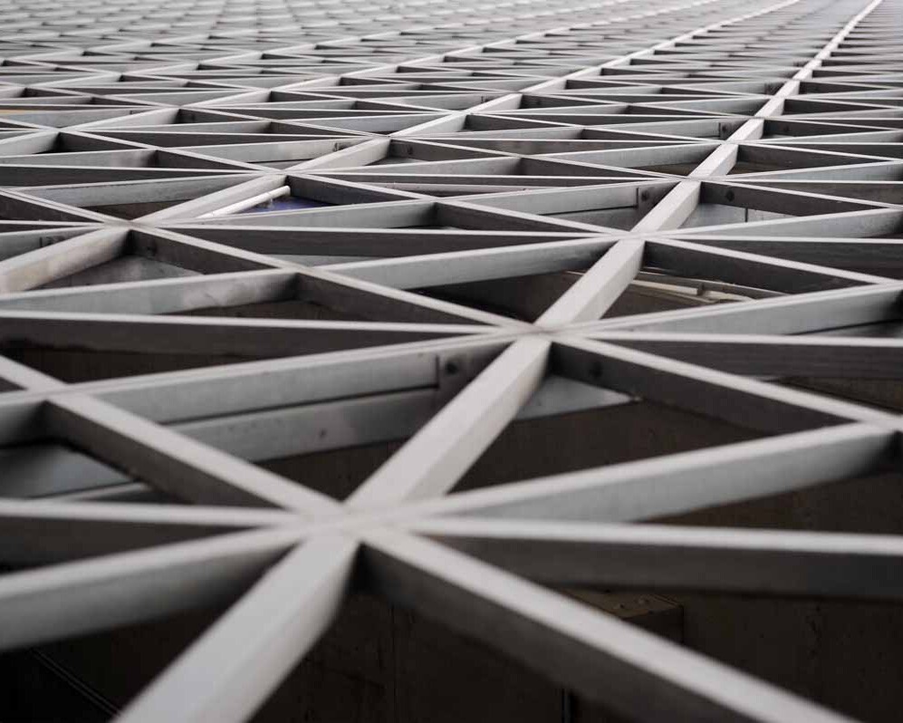 construction and development plescia 17