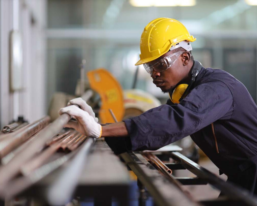 construction and development plescia 26