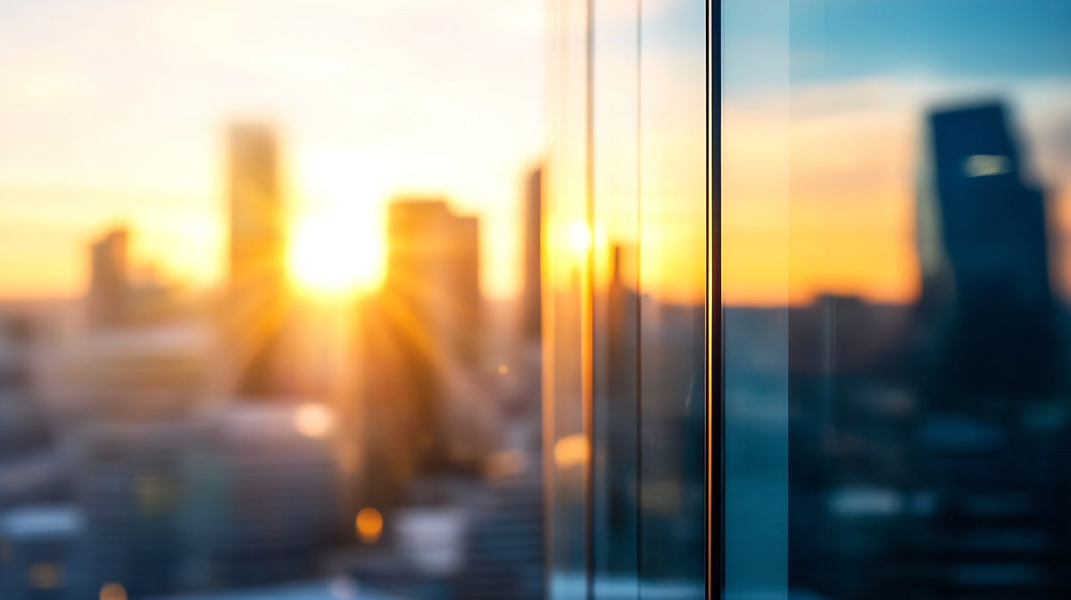 construction and development plescia 41