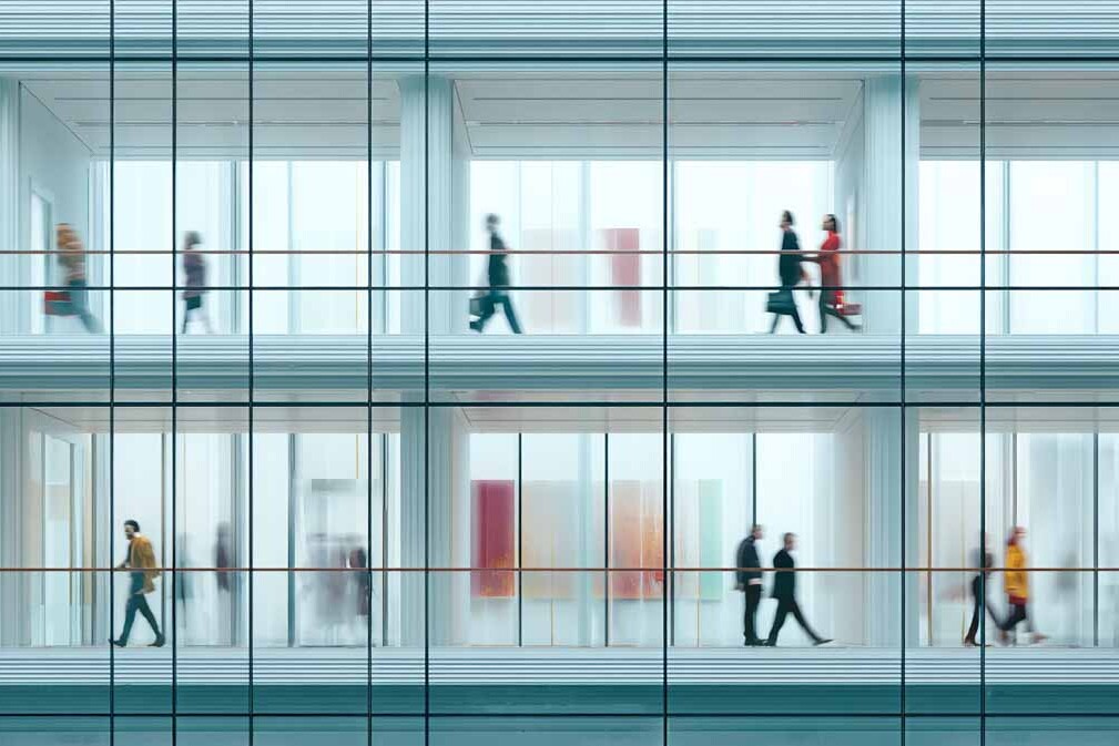 construction and development plescia 46