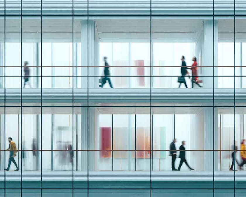 construction and development plescia 46