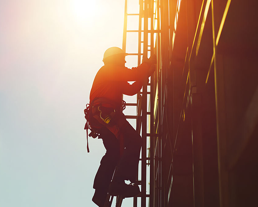 construction and development plescia 65