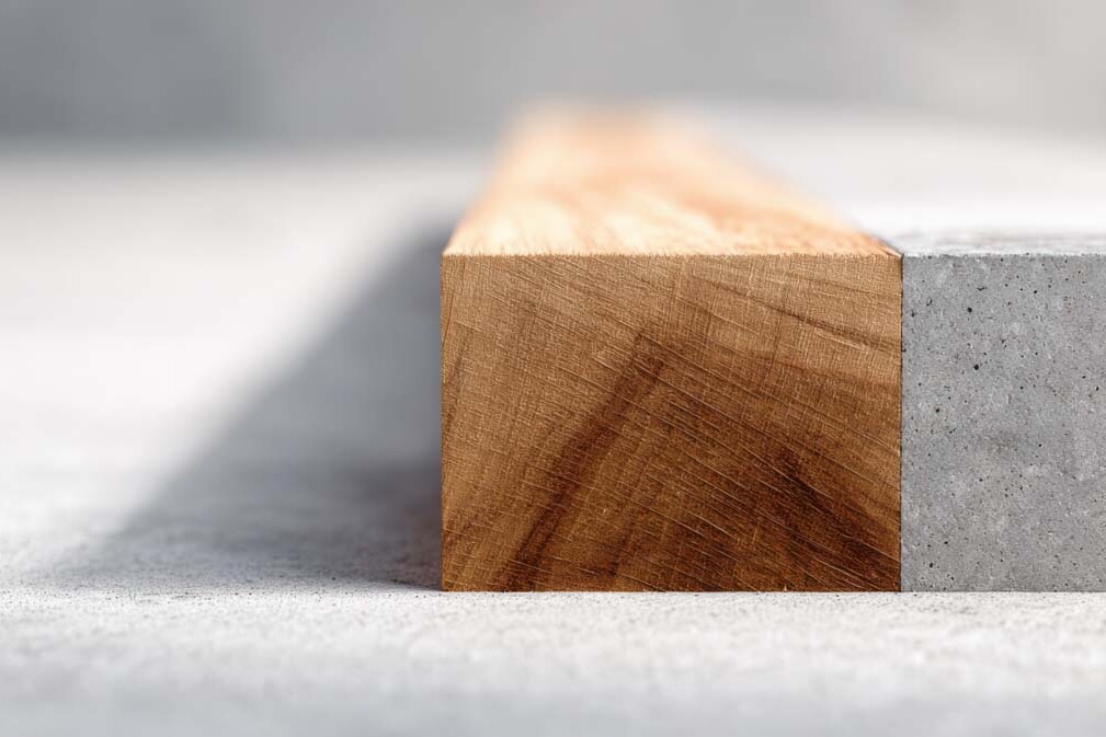 construction and development plescia 73