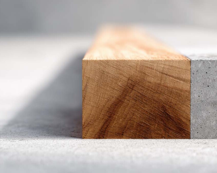 construction and development plescia 73