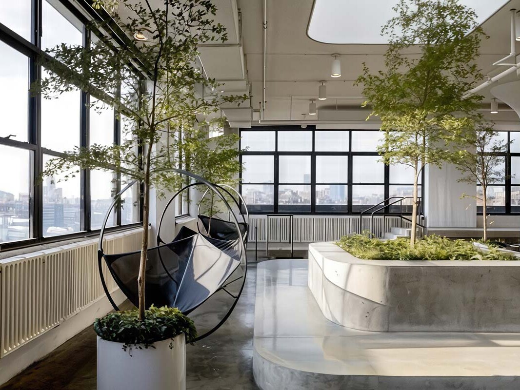 squarespace 2