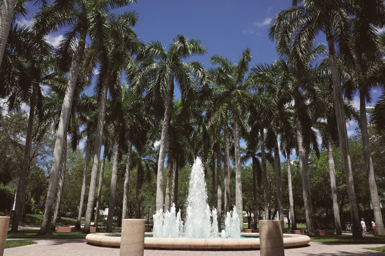 Palm-lined grounds in Coral Gables, the City Beautiful