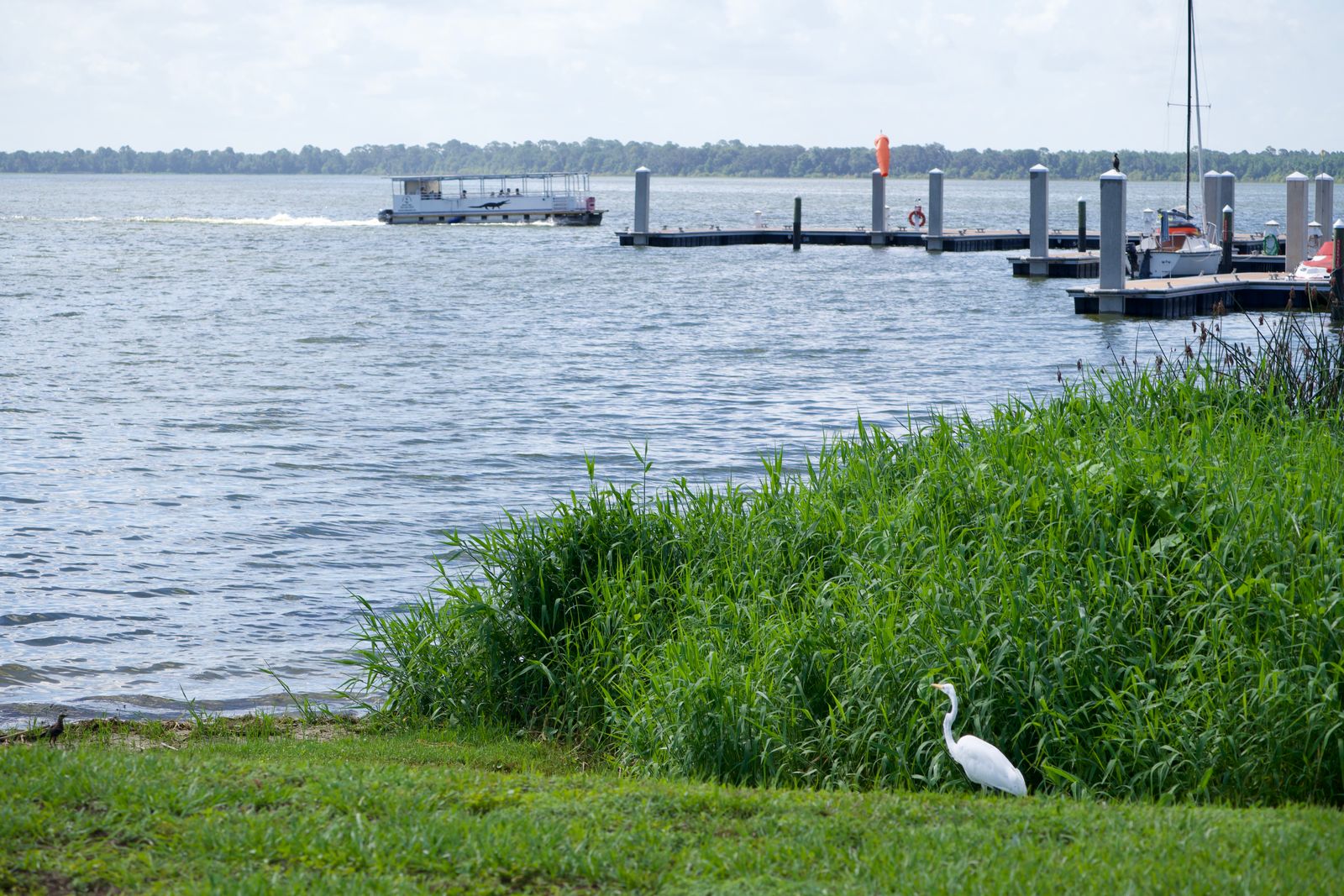 A serene view of Lake Conroe