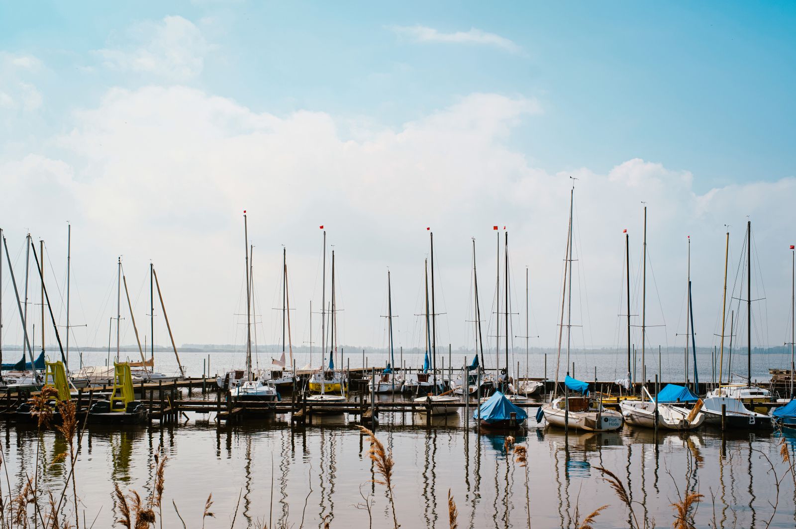 A marina on Lake Conroe