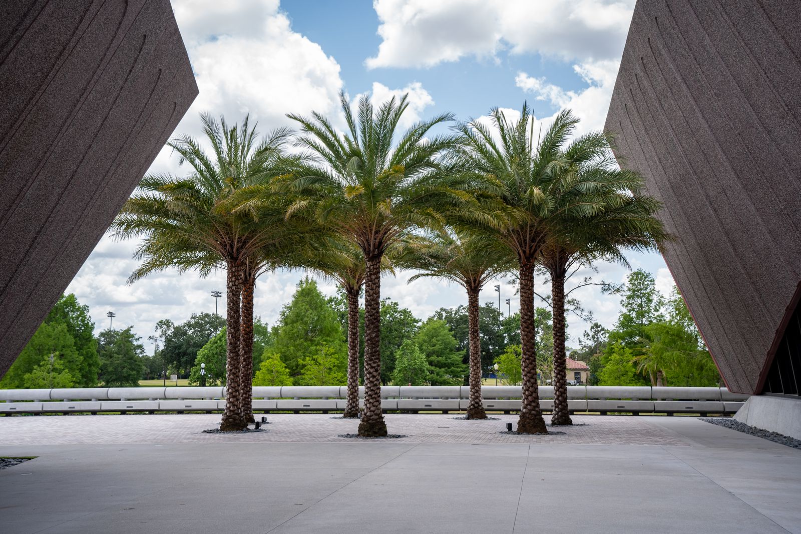 Palm trees among modern architecture in Fort Myers