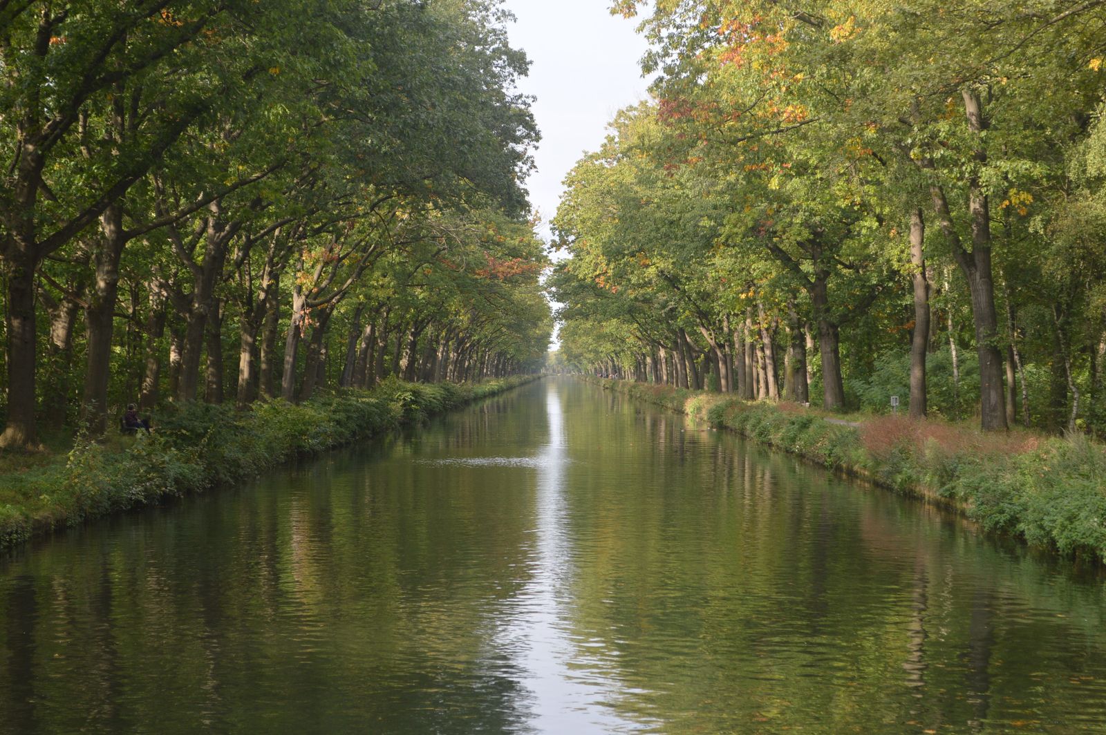 A tree-lined waterway in The Woodlands area
