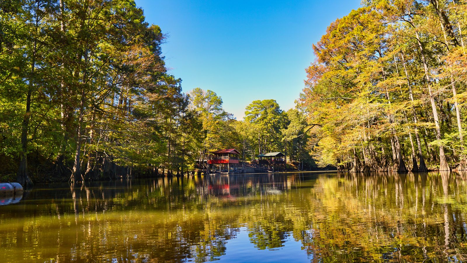 A wooded lake, characteristic of Lake Conroe and Montgomery County