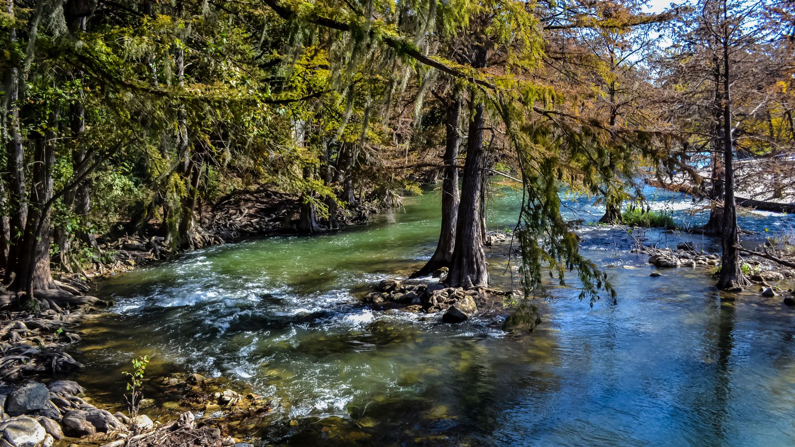 The Comal River in New Braunfels