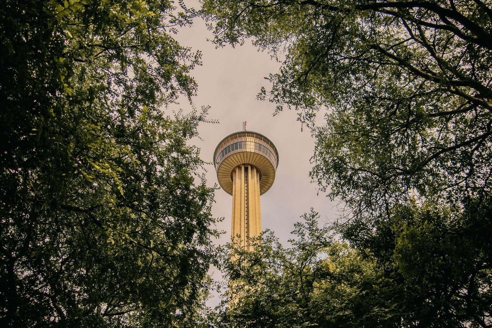 A landmark tower on the San Antonio skyline