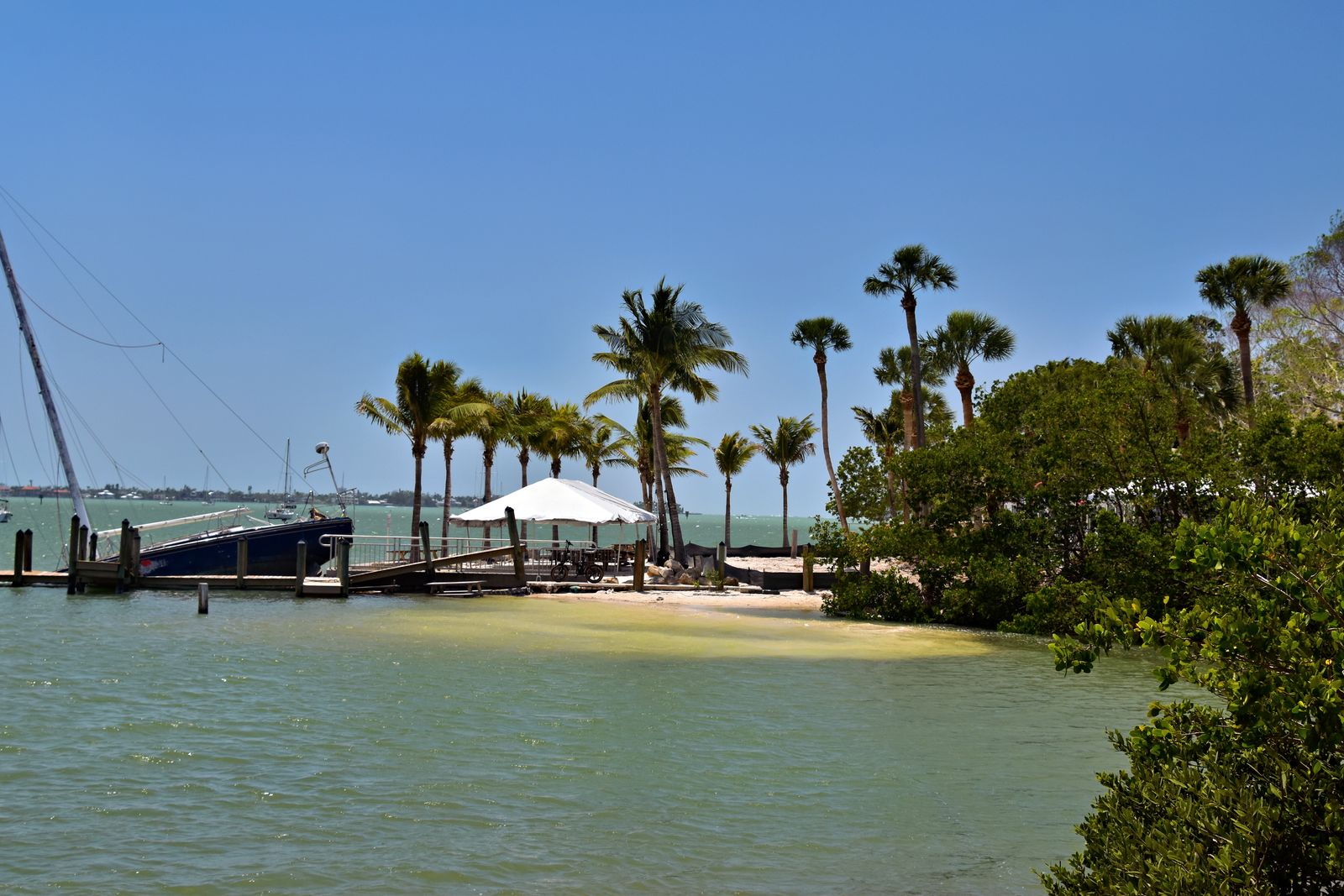 A Sarasota-area Gulf beach