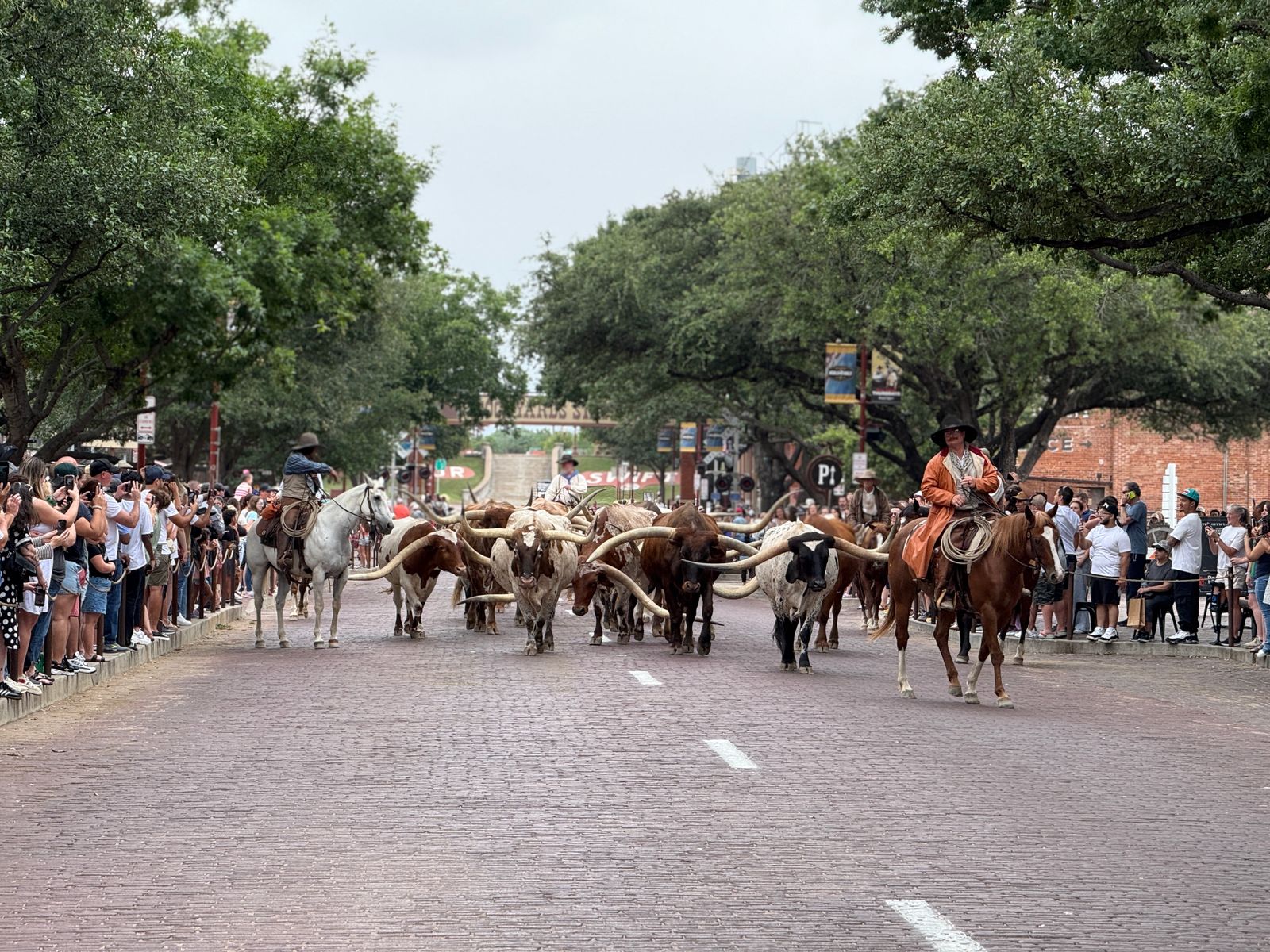 The historic Fort Worth Stockyards