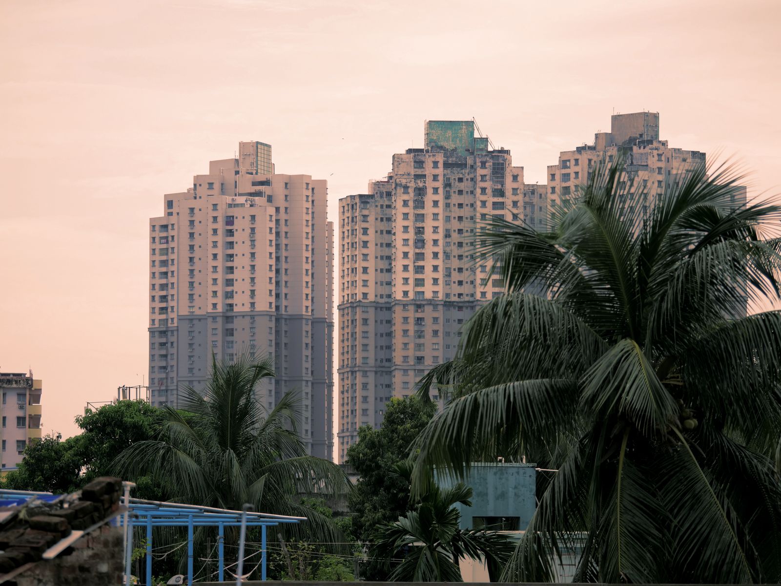 Palm-lined buildings near the West Palm Beach waterfront