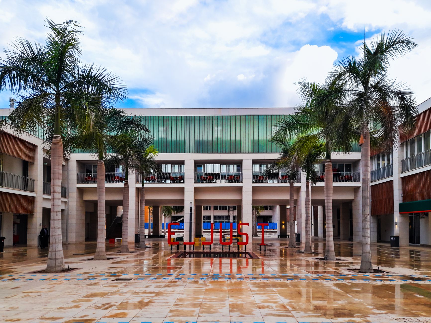 Palm-lined retail plaza, representative of Davie's Tower Shops and University Drive corridor
