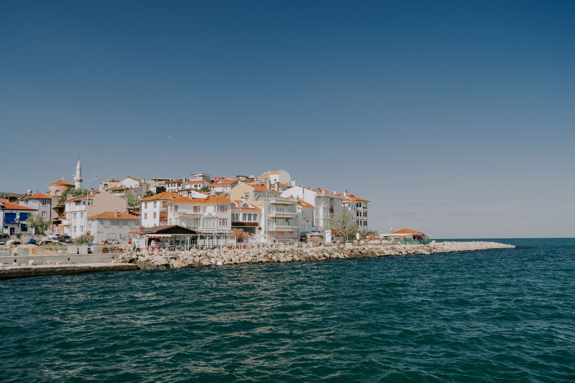 Coastal setting, representative of the Georgia coast