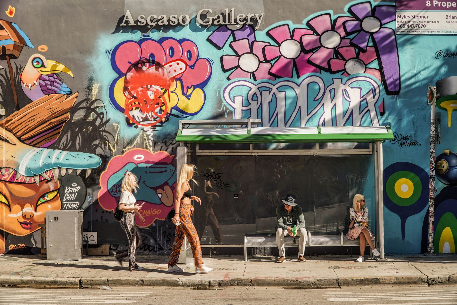 Converted warehouse storefront, representative of Wynwood's adaptive-reuse retail