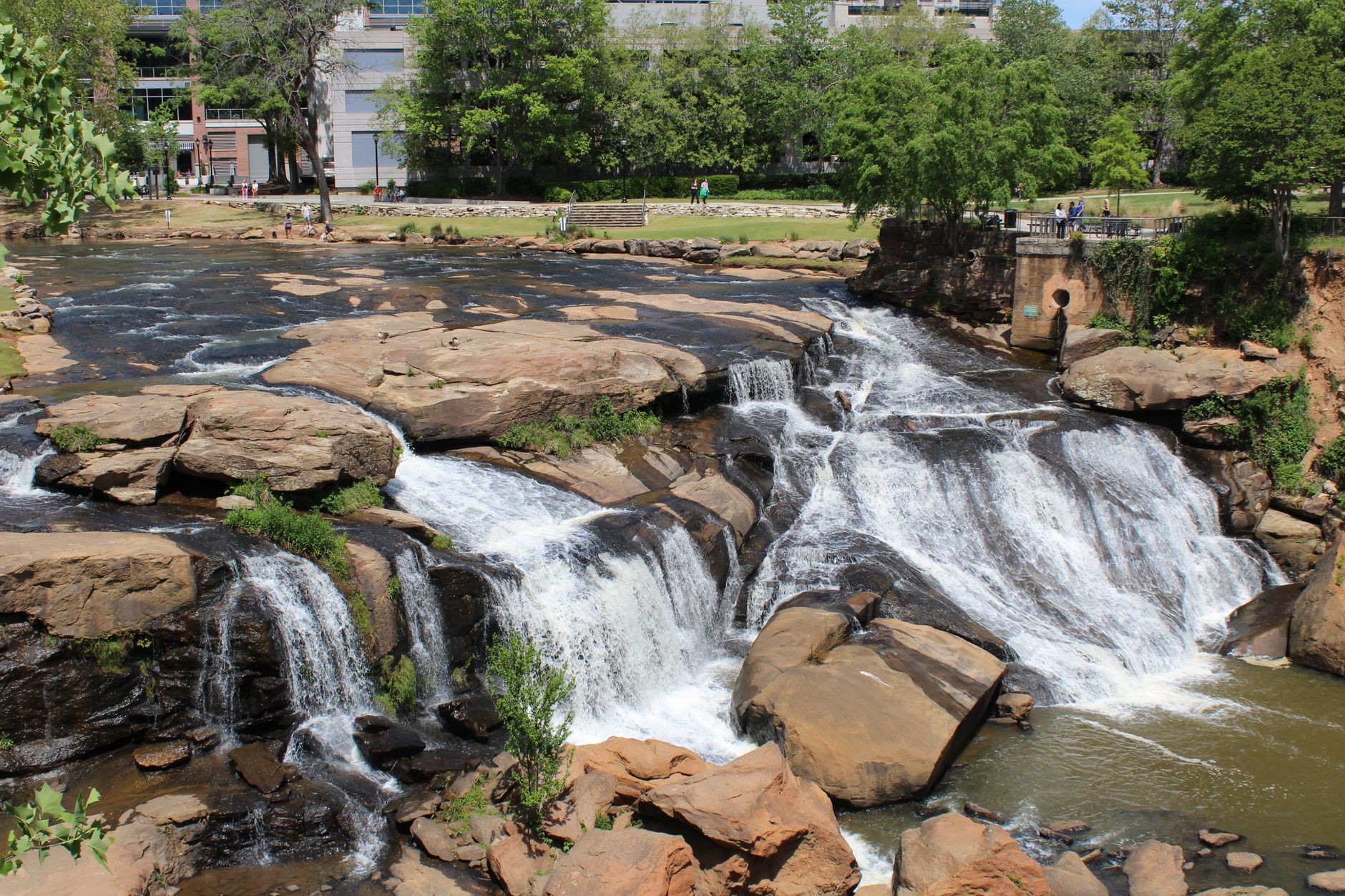 Greenville — commercial construction market